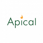 Apical